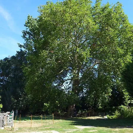 La Distillerie Oda ve Kahvaltı
